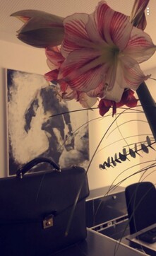 Kanzlei Empfang.jpg Kanzlei Empfang.jpg